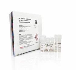 Thermo Scientific&trade;&nbsp;High-Select&trade; Fe-NTA Magnetic Phosphopeptide Enrichment Kit