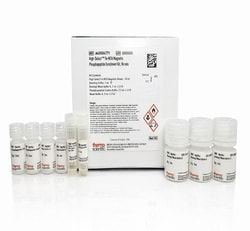Thermo Scientific High-Select Fe-NTA Magnetic Phosphopeptide Enrichment Kit 96 Reactions | Buy Online | Thermo Scientific&trade; | Fisher Scientific