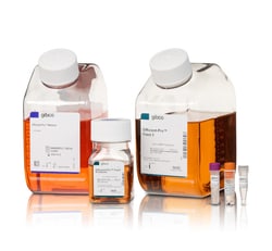 Gibco&trade;&nbsp;CHOvantage&trade; GS Cell Line Development Kit