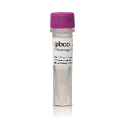 Gibco&trade;&nbsp;CHOvantage&trade; mRNA