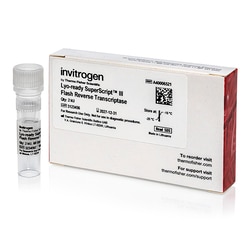 Invitrogen™ Lyo-ready SuperScript™ III Flash Reverse Transcriptase