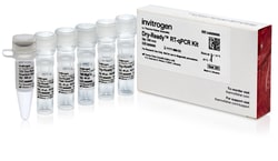 Invitrogen™ Dry-Ready™ RT-qPCR Kit