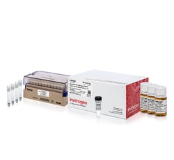 Invitrogen&trade;&nbsp;MultiShot&trade; TOP10 Chemically Competent <i>E. coli</i> Cells, 96-tube rack