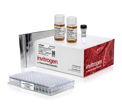 Invitrogen&trade;&nbsp;MultiShot&trade; BL21(DE3) Chemically Competent <i>E. coli</i> Cells, 96-well plate