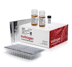 Invitrogen&trade;&nbsp;MultiShot&trade; BL21(DE3) Chemically Competent <i>E. coli</i> Cells, FlexPlate