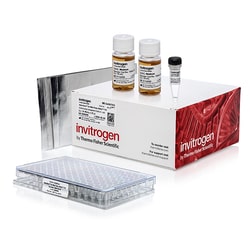 Invitrogen&trade;&nbsp;MultiShot&trade; DH5&alpha; T1R Chemically Competent <i>E. coli</i> Cells, 96-well plate