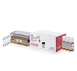 Invitrogen&trade;&nbsp;MultiShot&trade; BL21(DE3) Chemically Competent <i>E. coli</i> Cells, 96-tube rack