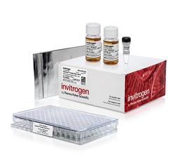 Invitrogen&trade;&nbsp;MultiShot&trade; TOP10 Chemically Competent <i>E. coli</i> Cells, 96-well plate