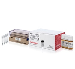 Invitrogen&trade;&nbsp;MultiShot&trade; DH5&alpha;&trade; T1R Chemically Competent <i>E. coli</i> Cells, 96-tube rack