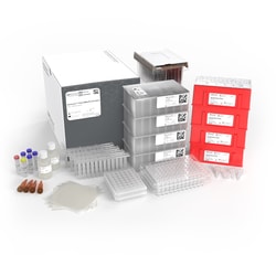 Ion Torrent&trade;&nbsp;Genexus&trade; Total RNA Purification Kit