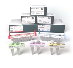 Ion Torrent&trade;&nbsp;Oncomine&trade; Myeloid Assay GX v2