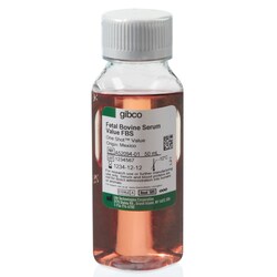 Gibco Fetal Bovine Serum, value (formerly USDA-approved in North America or qualified, Brazil in other regions)