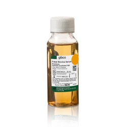 Gibco&trade;&nbsp;Fetal Bovine Serum, Premium