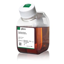 Gibco&trade;&nbsp;Fetal Bovine Serum (FBS), Premium