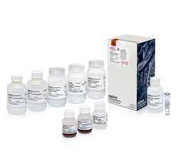Applied Biosystems MagMAX Pro HT NoSpin Plasmid MiniPrep Kit 384 Reaktionen | Buy Online | Applied Biosystems&trade; | Fisher Scientific