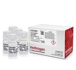 Invitrogen&trade;&nbsp;Cells-to-Signal&trade; Lysis Buffer (10 ml Bottle)