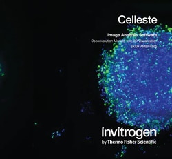 Invitrogen Celleste 3D Deconvolution Package For Use With (Equipment): EVOS Instruments and Celleste Software | Buy Online | Invitrogen&trade; | Fisher Scientific