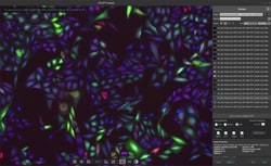 Invitrogen™ EVOS™ M7000 2D Deconvolution License