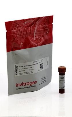 Invitrogen&trade;&nbsp;Aluora&trade; Spatial Amplification Individual Dyes