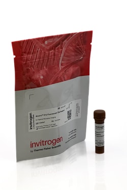Invitrogen Aluora Spatial Amplification Individual Dyes Aluora 514 | Buy Online | Invitrogen&trade; | Fisher Scientific