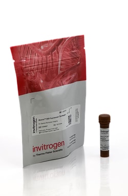 Invitrogen Aluora Spatial Amplification Individual Dyes Aluora 555 | Buy Online | Invitrogen&trade; | Fisher Scientific