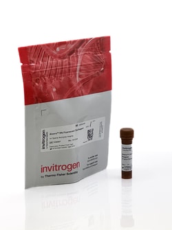 Invitrogen&trade;&nbsp;Aluora&trade; Spatial Amplification Individual Dyes