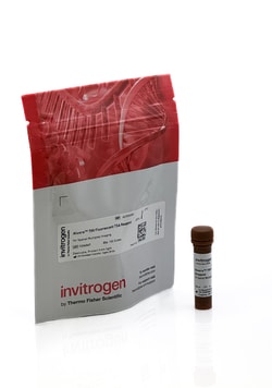 Invitrogen Aluora Spatial Amplification Individual Dyes Aluora 700 | Buy Online | Invitrogen&trade; | Fisher Scientific