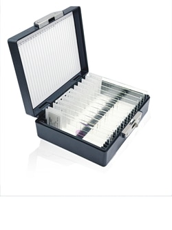 Invitrogen&trade;&nbsp;Aluora&trade; FluoCells&trade; Kidney Prepared Slide Set