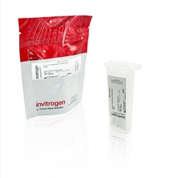 Invitrogen&trade;&nbsp;Aluora&trade; MultiSpeck Calibration Slide, 2 slides
