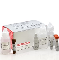 Invitrogen™ Aluora™ Spatial Amplification Goat-anti-Rabbit HRP Kits