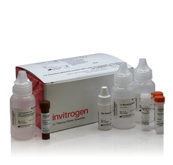 Invitrogen™ Aluora™ Spatial Amplification Streptavidin HRP Kits