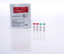 Invitrogen™ BacMam Enhancer Kit