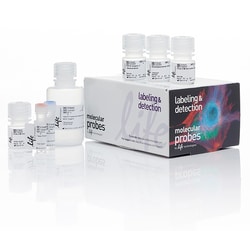 Invitrogen™ Click-iT™ Plus EdU Alexa Fluor™ 350 Flow Cytometry Assay Kit