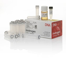 Invitrogen™ En Shot™ INV αF' kemiskt kompetent <i>E. coli</i>