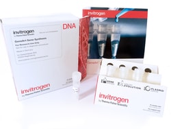 Thermo Scientific™ GeneArt™ Synthetic Gene, 3 kb, Online Order Rate