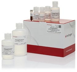 Invitrogen™ ChargeSwitch™ gDNA Rendered Meat Purification Kit