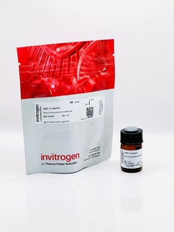 Invitrogen Aluora Spatial Amplification Reagent Components 8 x 100 Reaktionen | Buy Online | Invitrogen&trade; | Fisher Scientific