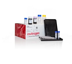 Invitrogen™ ProcartaPlex Human JAK-STAT Pathway Dual Reporter Panel, 2x6plex