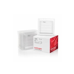 Invitrogen&trade;&nbsp;Novex&trade; TBE-Urea Gels, 6%