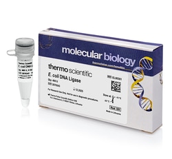 Thermo Scientific™ <i>E. coli</i> DNA Ligase