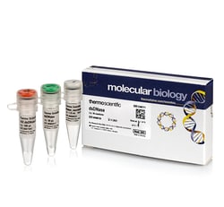 Thermo Scientific™ dsDNase