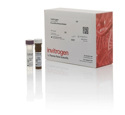 Invitrogen&trade;&nbsp;ProcartaPlex&trade; Human Arteriosclerosis Panel, 5plex