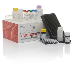 Invitrogen Human 13-Plex Human ProcartaPlex Panel 2, Platinum Preconfigured Panel | Buy Online | Invitrogen&trade; | Fisher Scientific