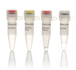 Thermo Scientific AjuI (5 U/ L) 100 unidades | Buy Online | Thermo Scientific&trade; | Fisher Scientific