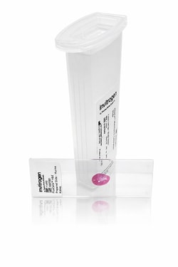 Invitrogen&trade;&nbsp;H&E FluoCells&trade; Prepared Slide - Murine Kidney