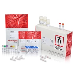 Molecular Probes™ FISH Tag™ DNA Kits with Alexa Fluor™ Dyes