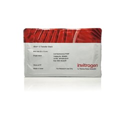 Invitrogen iBlot 3 Transfer Stacks, midi, low-fluorescence PVDF 10 Stacks | Buy Online | Invitrogen&trade; | Fisher Scientific