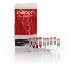 Invitrogen Anza 16 HindIII 40 000 U | Buy Online | Invitrogen&trade; | Fisher Scientific