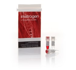 Invitrogen&trade;&nbsp;Anza&trade; 51 BspTI