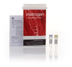 Invitrogen Anza DNA End Repair Kit 20 reactions | Buy Online | Invitrogen&trade; | Fisher Scientific